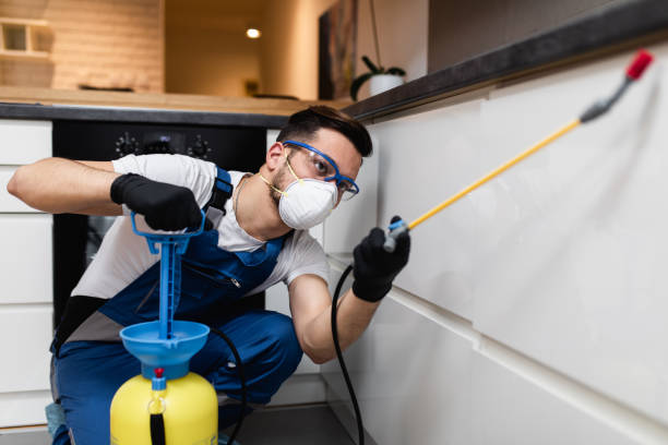 Best Flea Control Services  in Alliance, NE