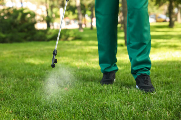 Best Wasp Removal Services  in Alliance, NE