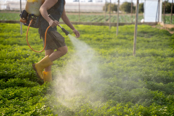 Best Pest Removal Services  in Alliance, NE
