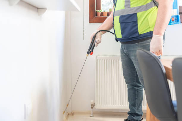 Best Termite Control Services  in Alliance, NE