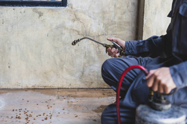 Best Exterminator Services  in Alliance, NE