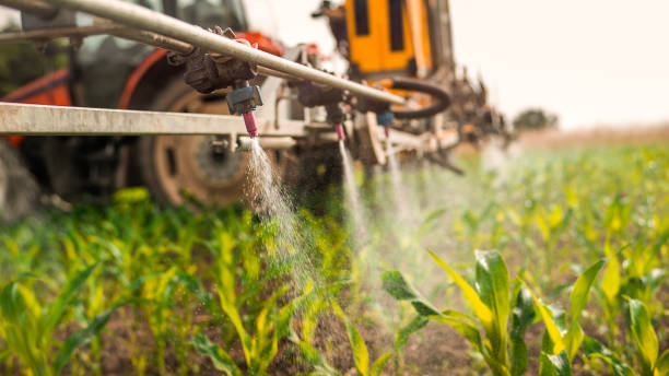 Professional Pest Control in Alliance, NE